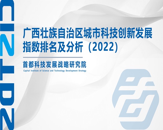 日韩污w在线【成果发布】广西壮族自治区城市科技创新发展指数排名及分析（2022）